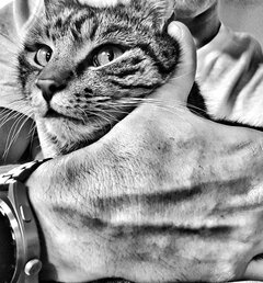 Moja dusza pachnie Tobą