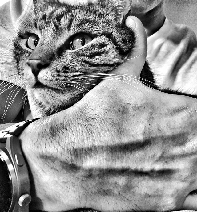 ON_dla_Pani_Mistress