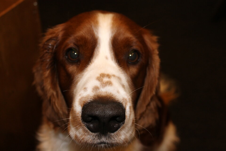 IMG_2708.JPG - Moja_Jest_Noc