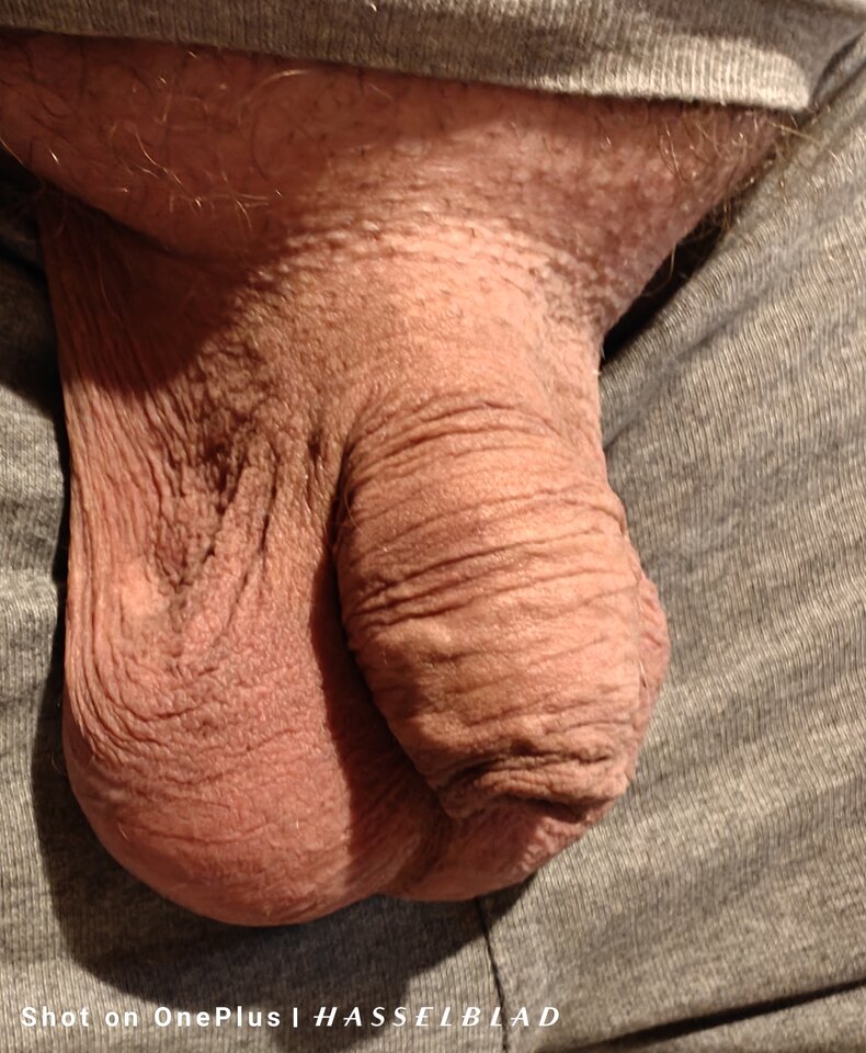 1000011659.jpg - jogan