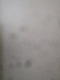 IMG_20250204_115006.jpg