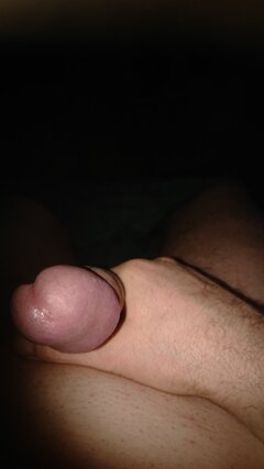 IMG-20250204-WA0012.jpeg