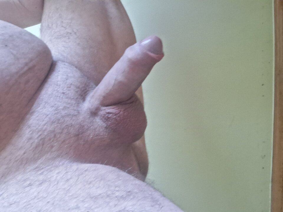 2025-02-0509.44.253346244435701254408.jpg - mar_nn40