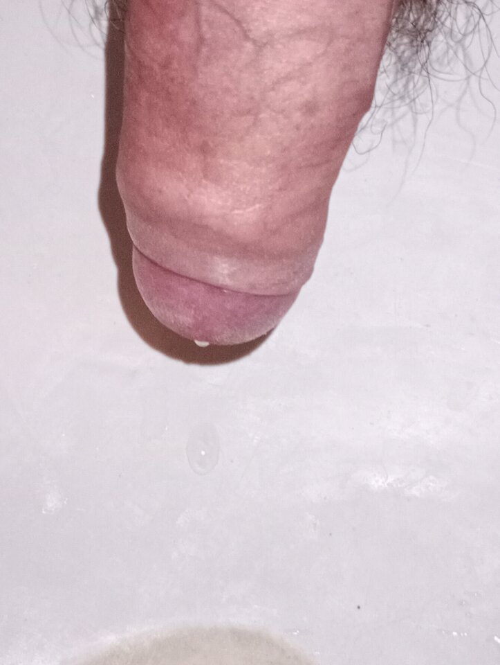 1000007264.jpg - PiotrWlkp
