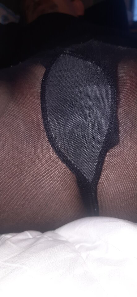 17387654244523520024759138262270.jpg - Palciusia