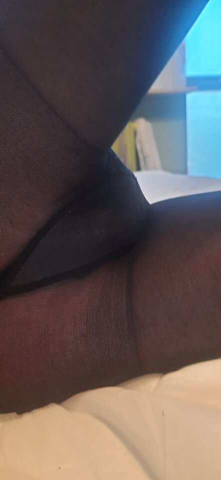 17387654928165065413111814121341.jpg - Palciusia