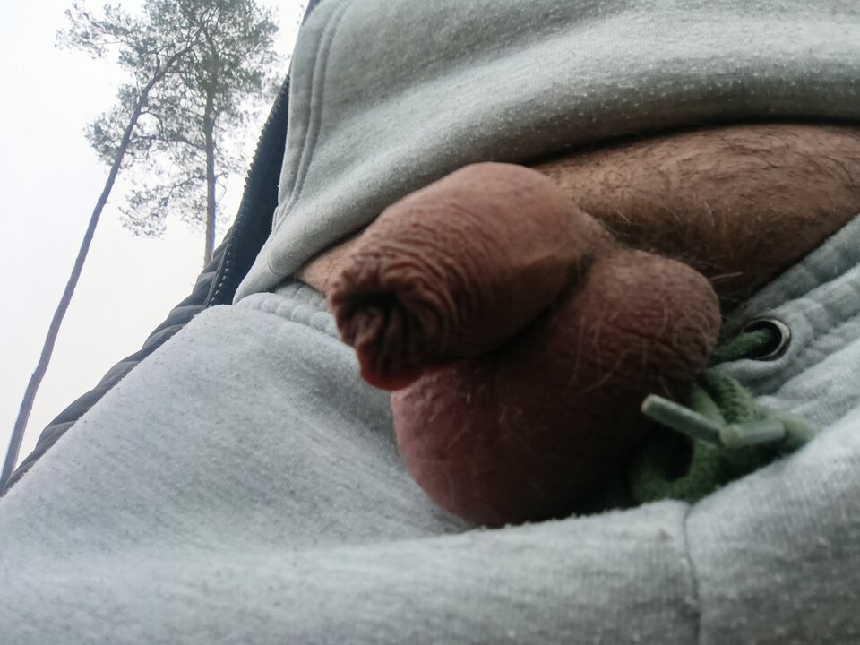 1000005253.jpg - 40CSW