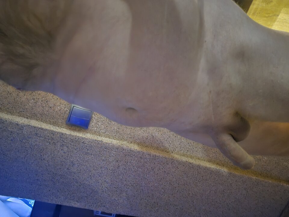 1000008773.jpg - Rrr25