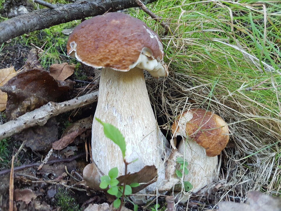 20210906_163627.jpg - destroy