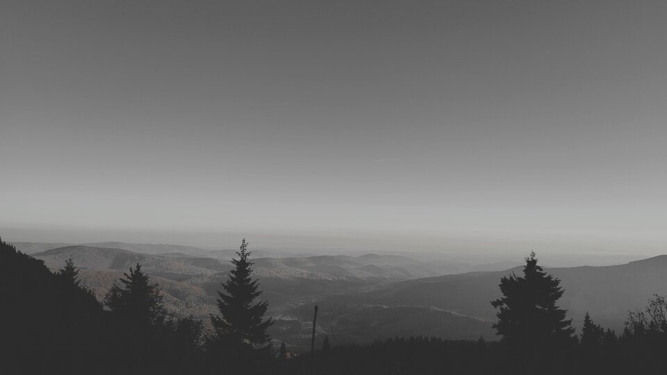 IMG_20250205_223242.jpg - go_ryl