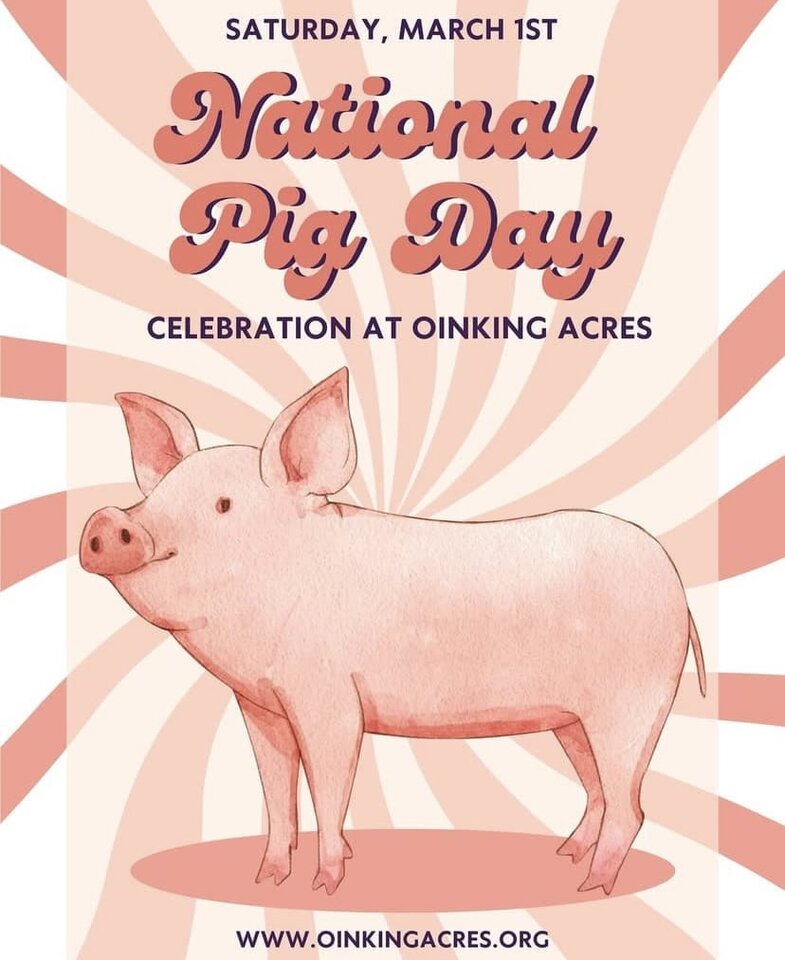 IMG_9082.jpeg - PiggyiKermit