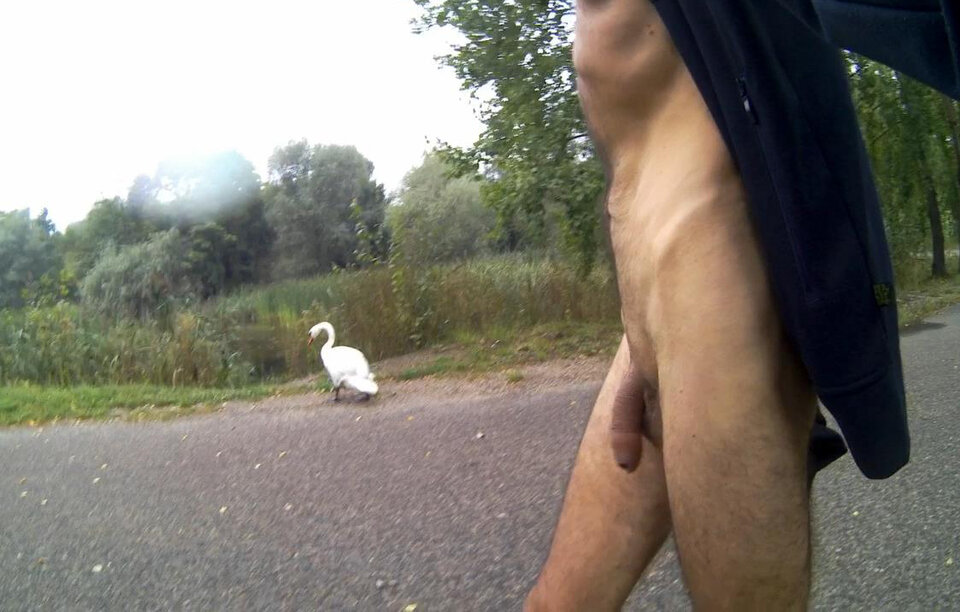 _143815A.mp4_snapshot_00.51_[2023.08.29_17.28.20].jpg - Krzysztof_cfnm