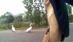_143815A.mp4_snapshot_00.49_[2023.08.29_17.27.58].jpg