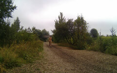 _141801A.mp4_snapshot_01.01_[2023.08.29_16.47.27].jpg