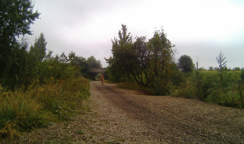 20230829_141801A.mp4_snapshot_00.50_[2023.08.29_16.47.01].jpg - Krzysztof_cfnm