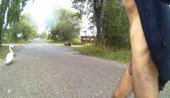 _143815A.mp4_snapshot_01.12_[2023.08.29_17.29.34].jpg