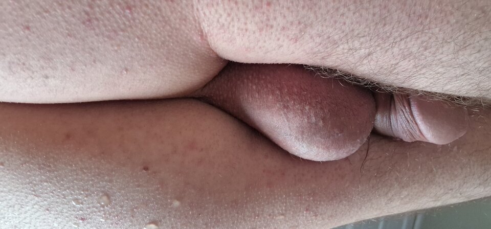 17388514986574837730691542460894.jpg - robin266