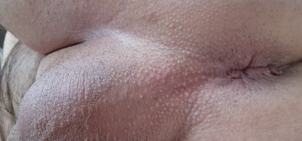 17388516523137600501615763954392.jpg - robin266