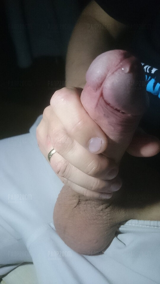 3.jpg - PanP20cm