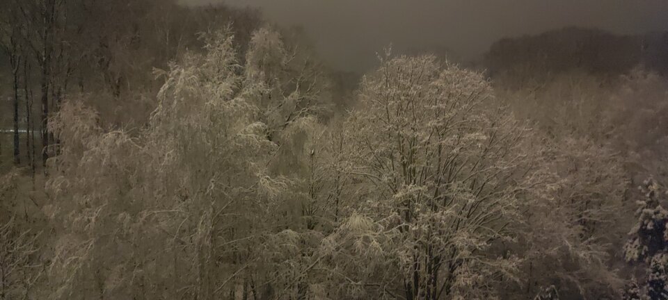 1000052437.jpg - maanseli