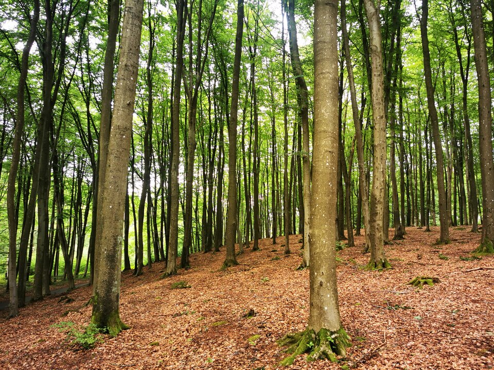 1000007163.jpg - Miniek234