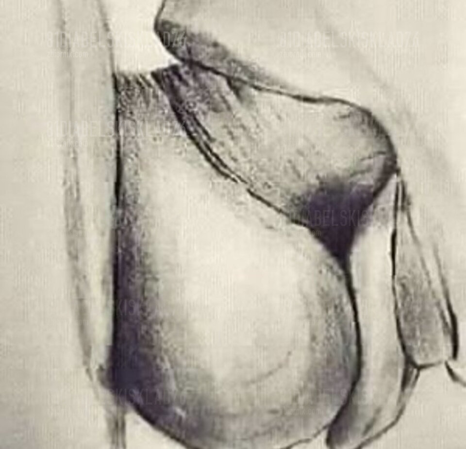 Screenshot_20241212_031222_com.android.chrome_edit_2061372033643 - 81DIABELSKISKLAD76