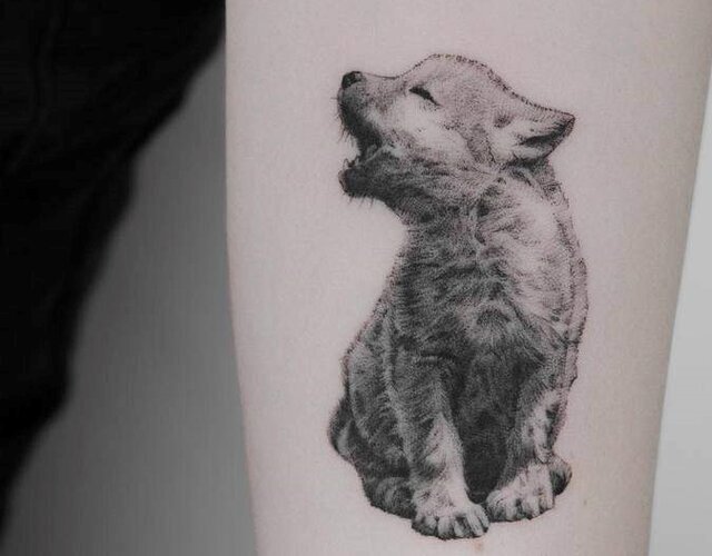 3b8fe162cb6f88d51043cc176b6049dd.jpg - dogperson2