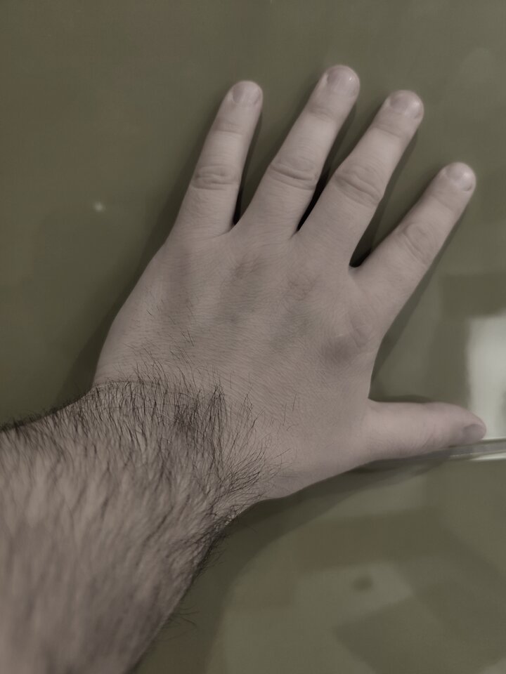 1000004510.jpg - FotoMarcin