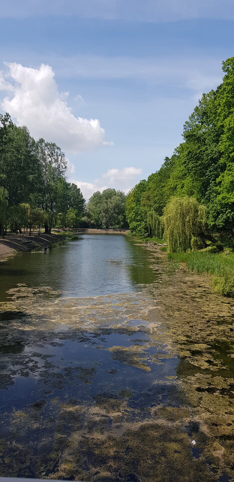 9e0ab462-0cd6-4800-813d-02029562cb00-1_all_557.jpg - Kamilszuka