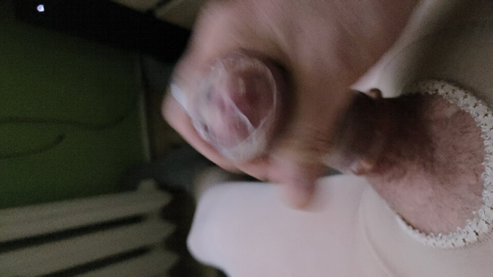 1000000751.jpg - bruno1981