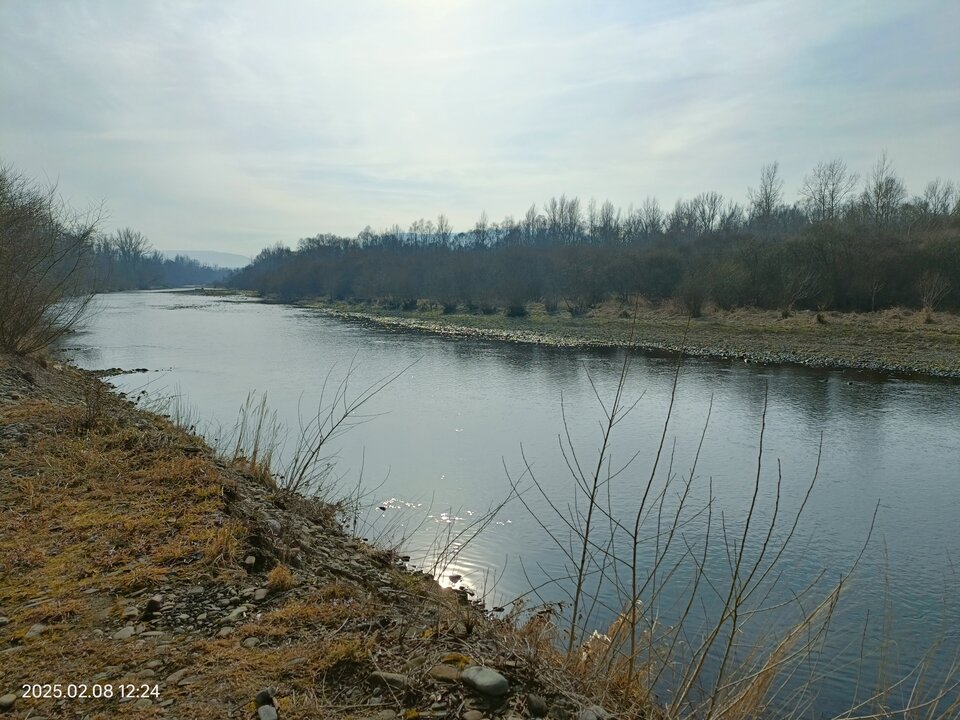 1000036815.jpg - Kamyk_82