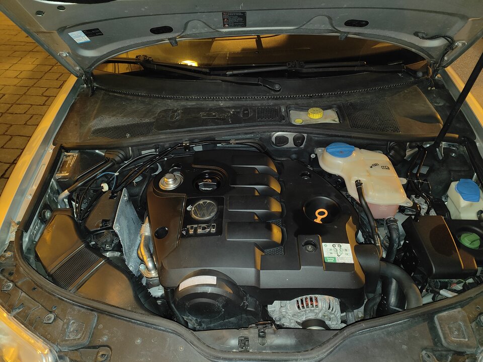 1000000576.jpg - bialy198