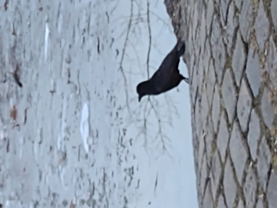 IMG_20250208_171819743.jpg - bEST_o_70