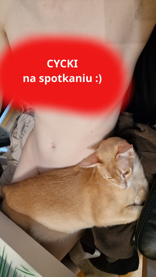 2025-02-08 20250208_092158.jpg - KrolowaOlszyn