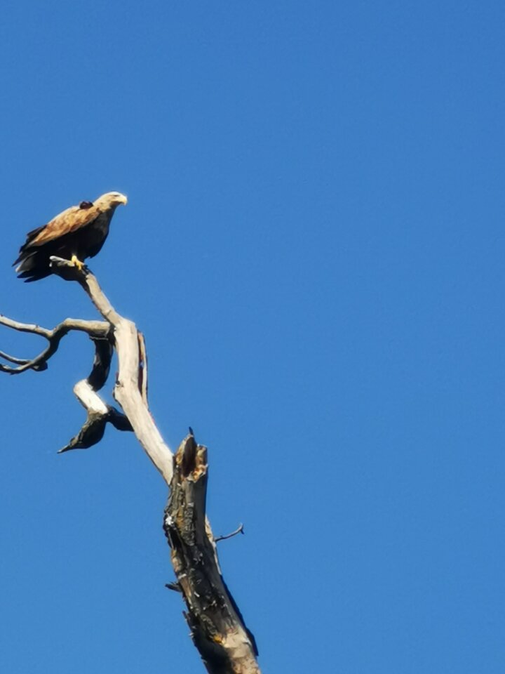 1000006856.jpg - Miniek234