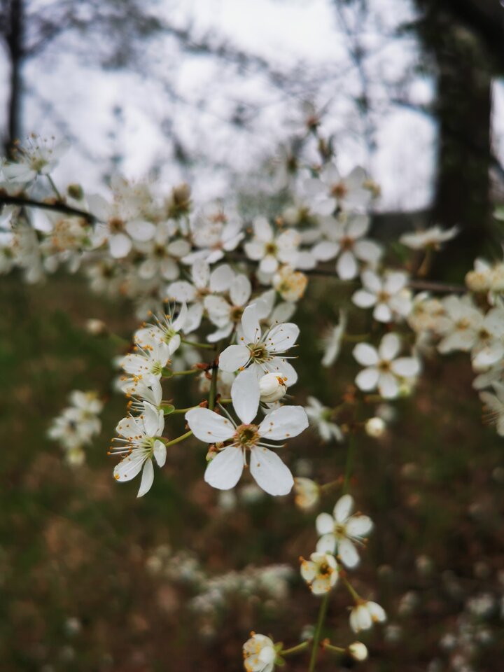 1000006616.jpg - Miniek234