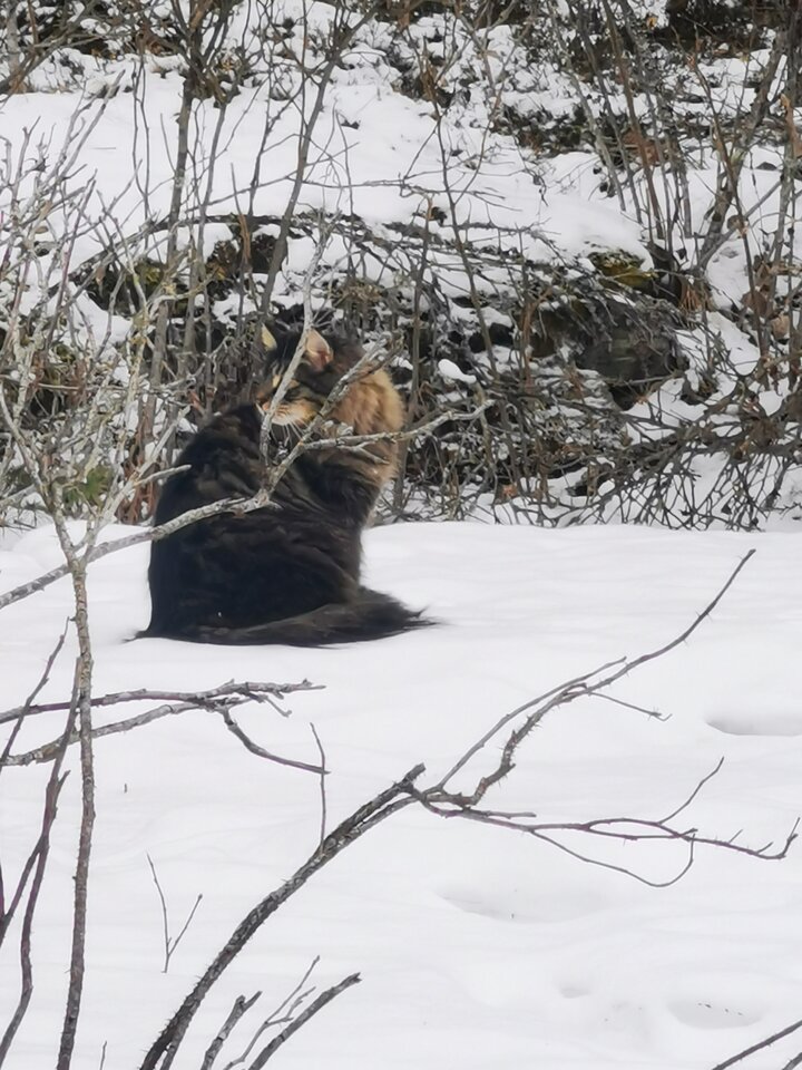 1000006439.jpg - Miniek234