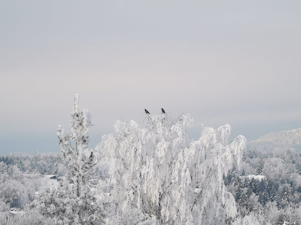 1000006424.jpg - Miniek234