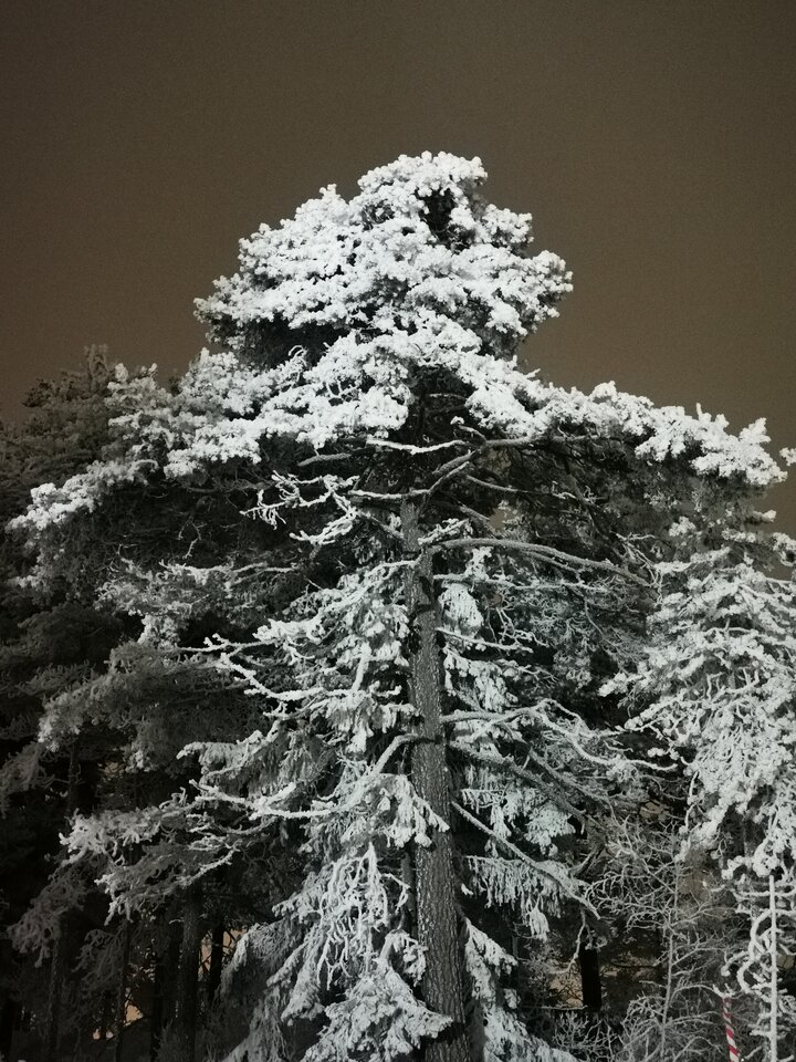 1000006422.jpg - Miniek234