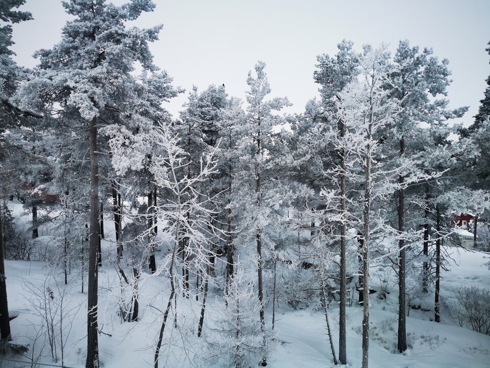 1000006417.jpg - Miniek234