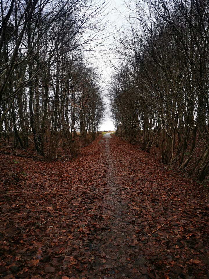 1000006409.jpg - Miniek234