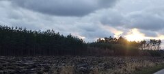 IMG_20250304_155251.jpg