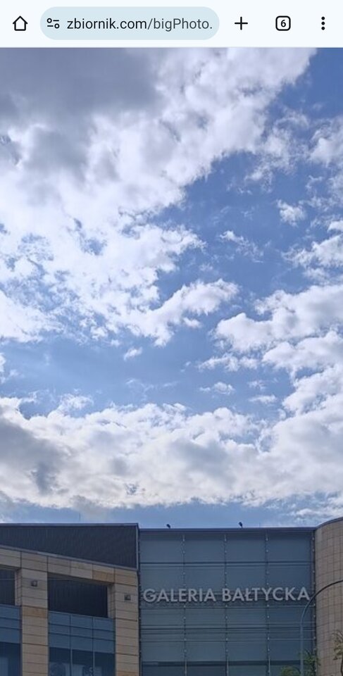 Wypad do 3 miasta - Palciusia