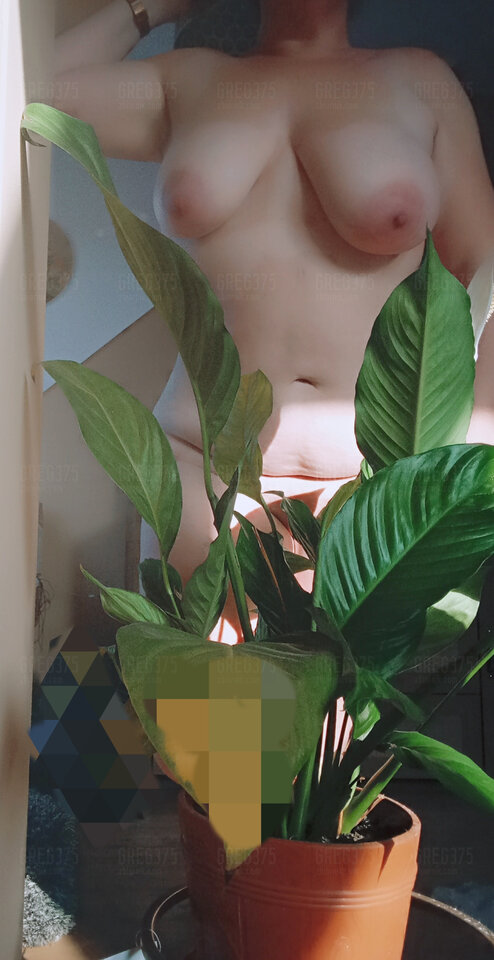 1000003039.jpg - greg375