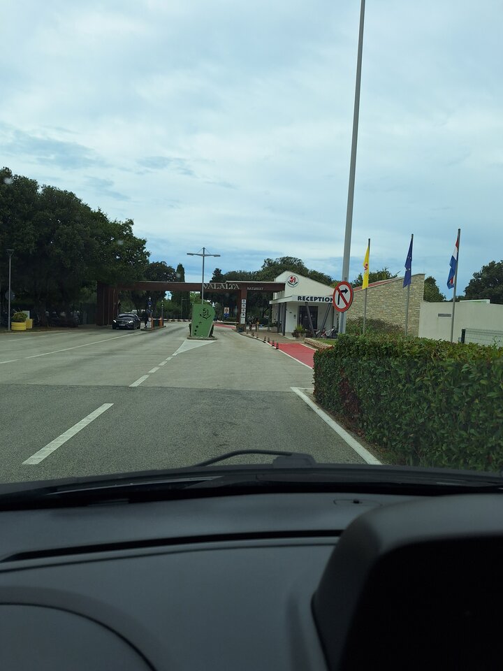 1000006071.jpg - ogolek