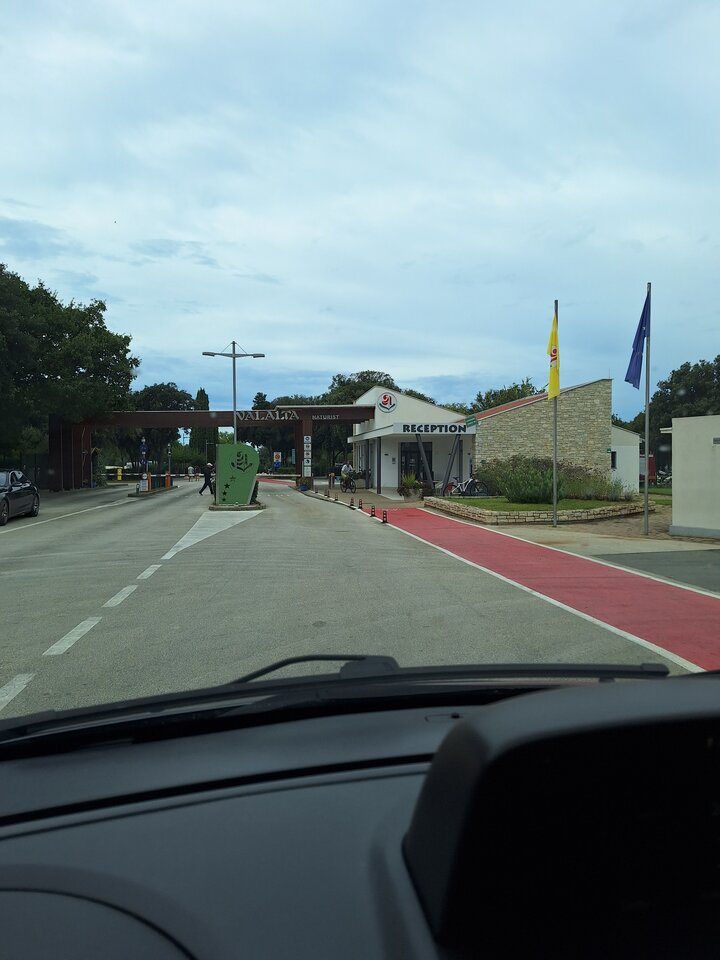 1000006072.jpg - ogolek