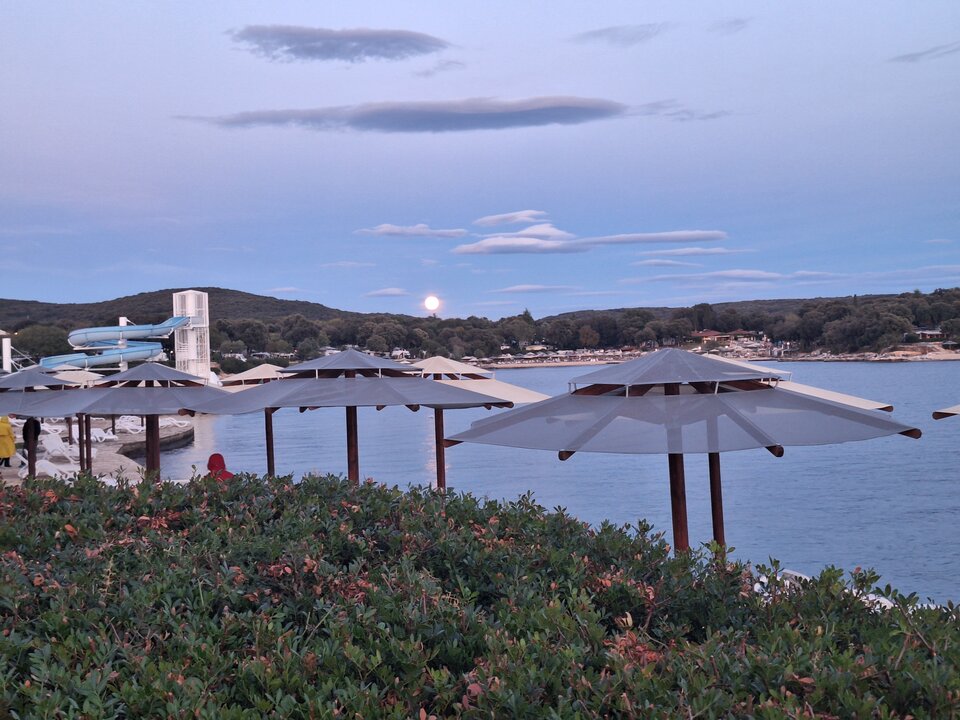 1000006087.jpg - ogolek