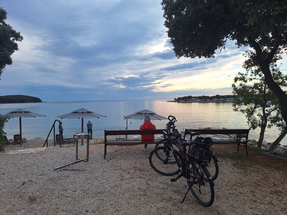 1000006098.jpg - ogolek