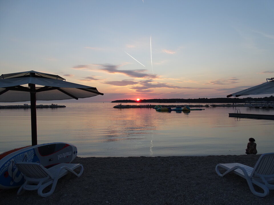 DSC01293.JPG - ogolek