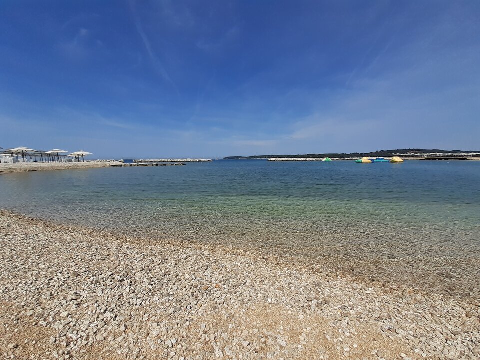 20230507_114653.jpg - ogolek